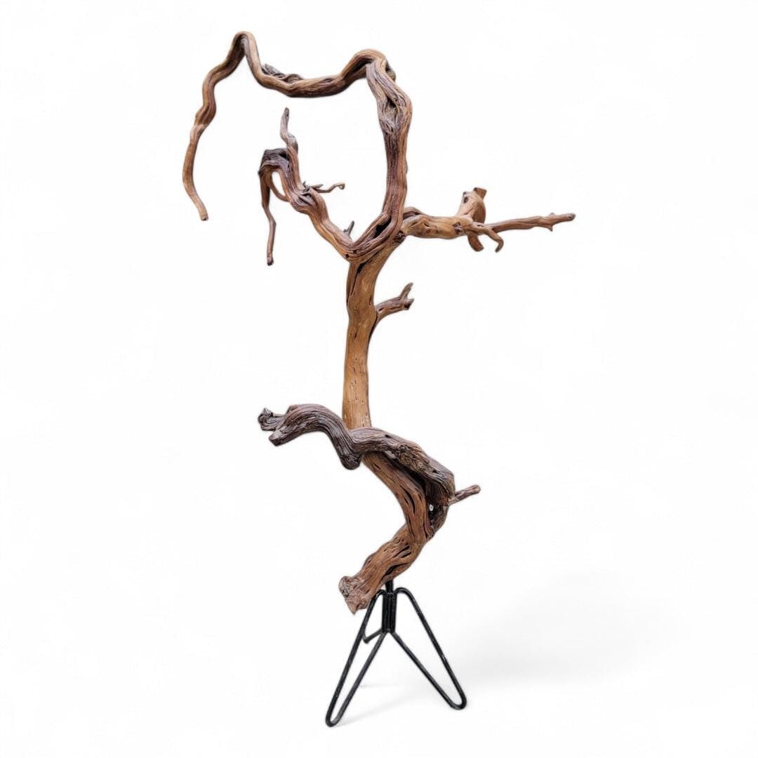 Mid Century Natural Teak Rood Floor Statue - 3