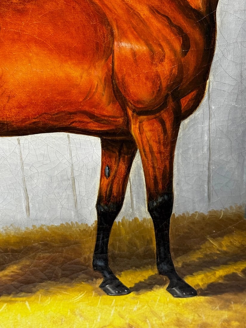 Equine Oil Painting Horse Portrait William The Conqueror by Samuel Spode C1840 - 11