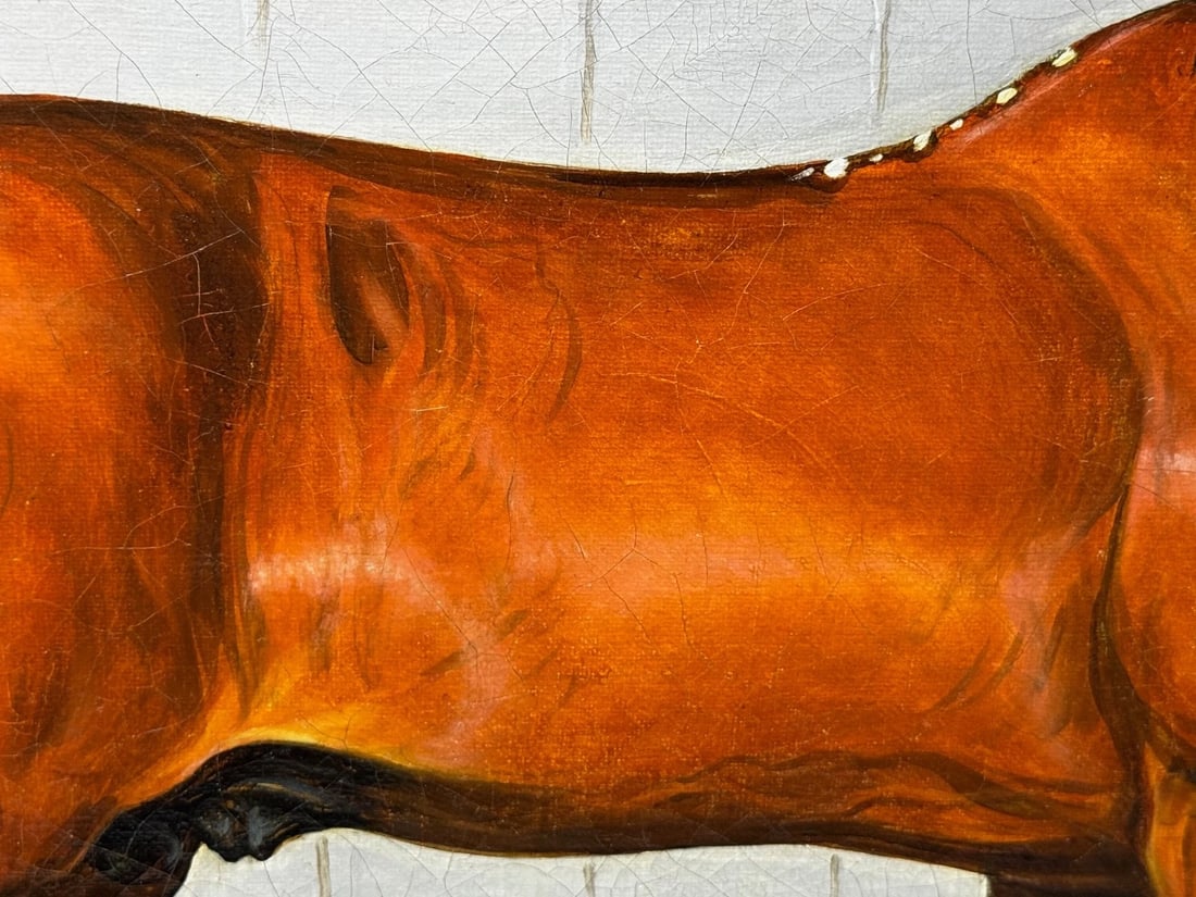Equine Oil Painting Horse Portrait William The Conqueror by Samuel Spode C1840 - 12