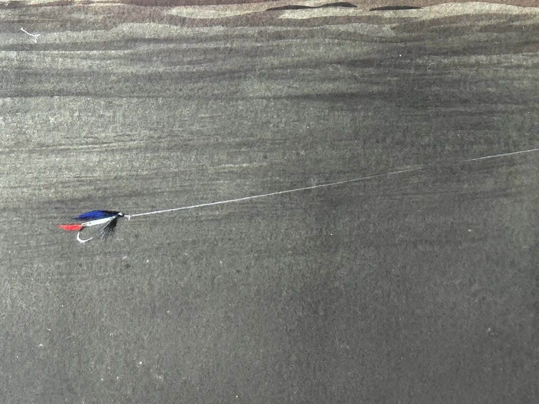 Sporting Painting Sea Trout Nearly Hooked The Silver Zulu Fly By Roger McPhail - 12
