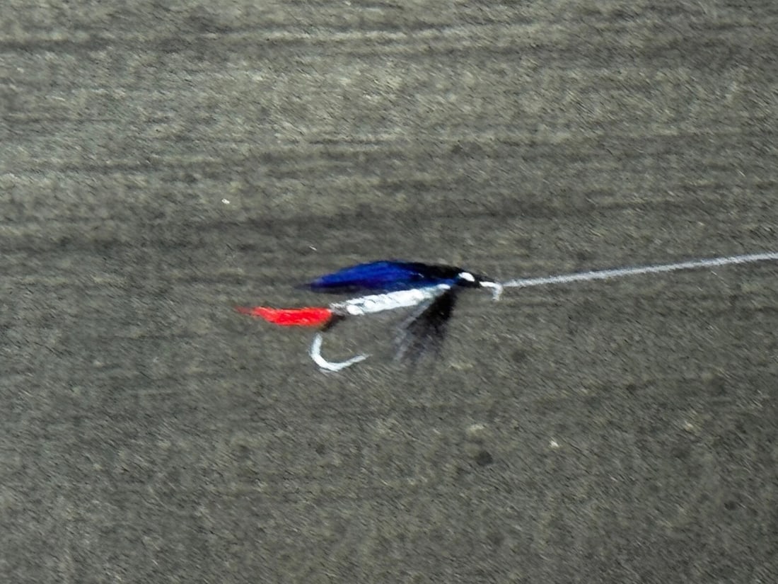 Sporting Painting Sea Trout Nearly Hooked The Silver Zulu Fly By Roger McPhail - 13