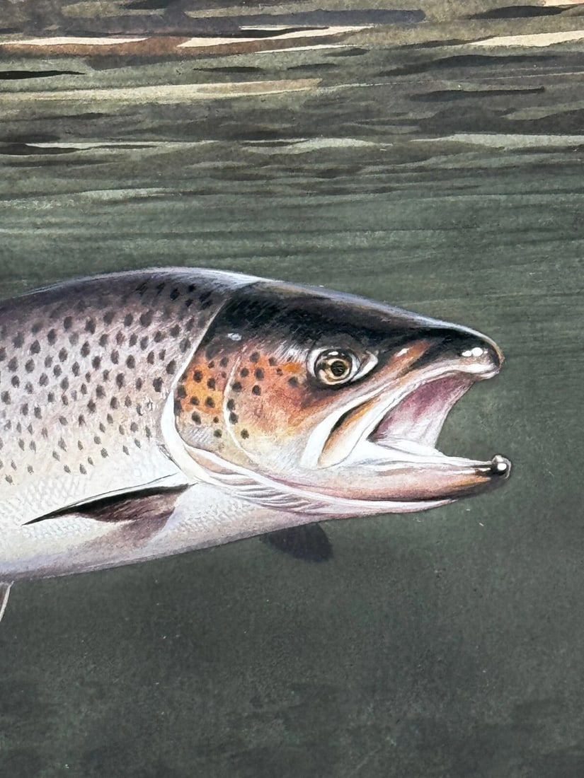 Sporting Painting Sea Trout Nearly Hooked The Silver Zulu Fly By Roger McPhail - 15