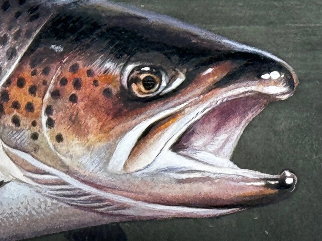 Sporting Painting Sea Trout Nearly Hooked The Silver Zulu Fly By Roger McPhail - 19