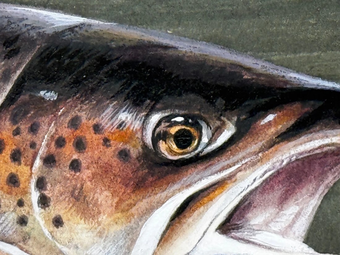 Sporting Painting Sea Trout Nearly Hooked The Silver Zulu Fly By Roger McPhail - 20