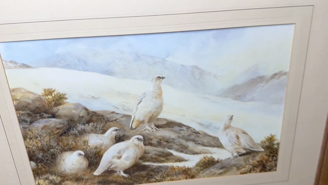 British Painting Highland Moors Wildlife Covey Of Ptarmigan Game Birds On Alert - 2