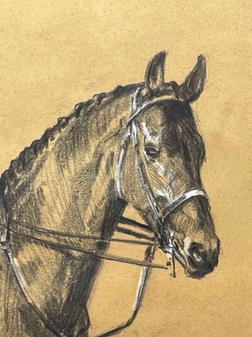 Hunting Drawing Heightened With White of American Foxhounds by Michael Lyne - 7