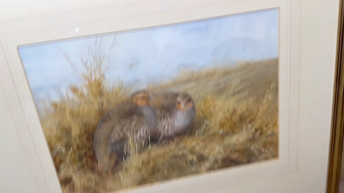 Game Birds Grey Partridges – New Forest Moor In the Manner of Archibald Thorburn - 2