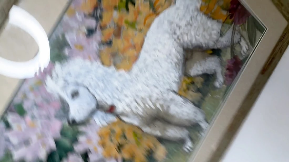 Large Painting Portrait White Poodle Dog By Charles Frederick Tunnicliffe - 2