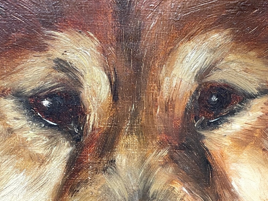 Painting Général Symon & Ping-Ching Two Chinese Chow Chow Dogs By Zilia Klias - 14