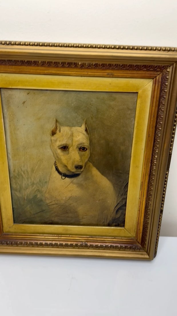 Rare Victorian Oil Painting Extinct White English Terrier Follow Of John Emms - 2