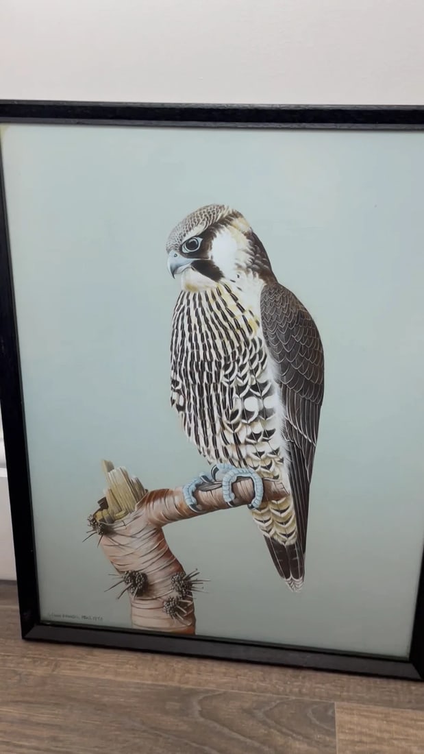 Fine British Art Gouache Watercolour Peregrine Falcon By David Johnston - 2