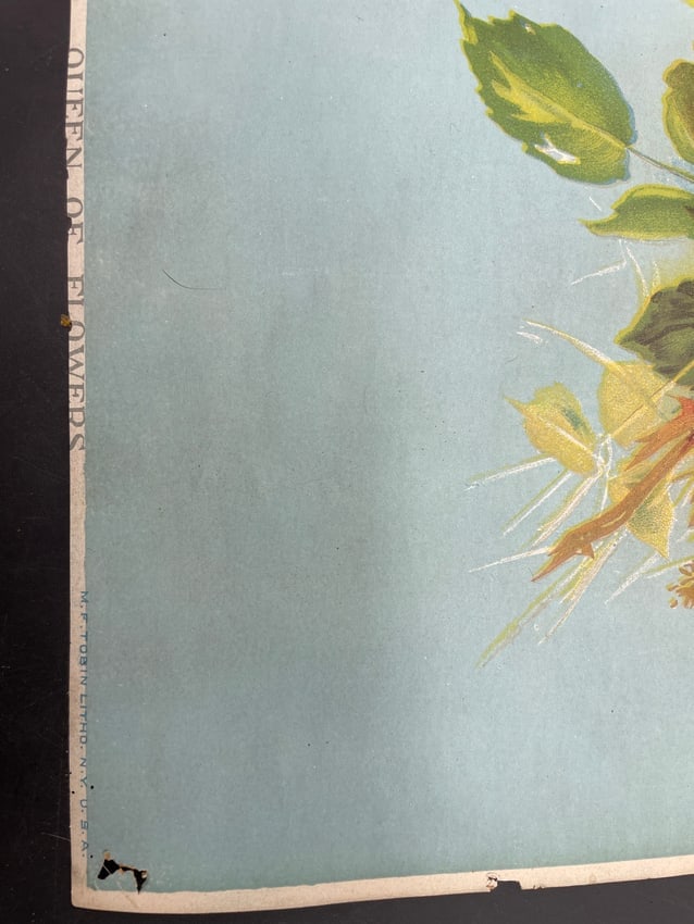 c1890's Chromolithograph M.F. Tobin CD Kenny Advertising Queen of Flowers - 4