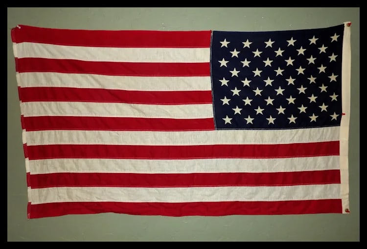 Valley Forge Flag Co USA FLAG "Pioneer" 3x5' - 100% Cotton Flag - 6
