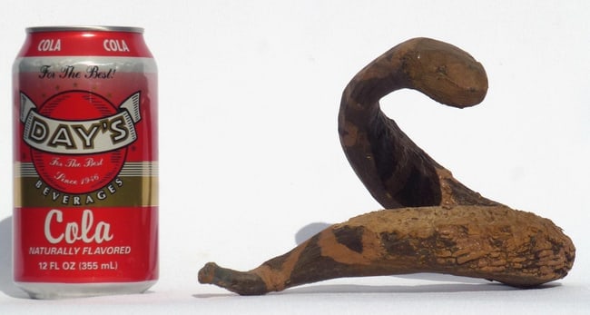 A carved and painted folk art snake - 2