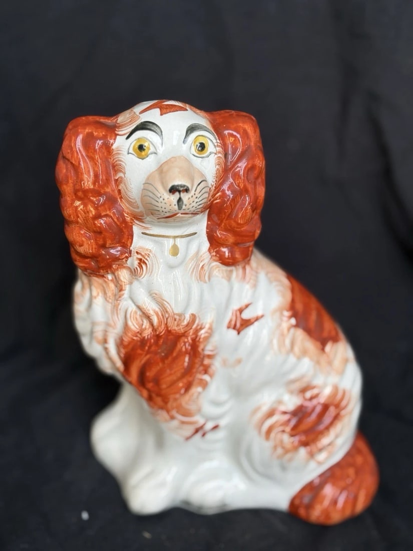 Staffordshire Spaniel Dog (1 of 3)