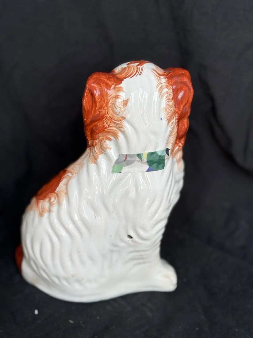 Staffordshire Spaniel Dog - 2