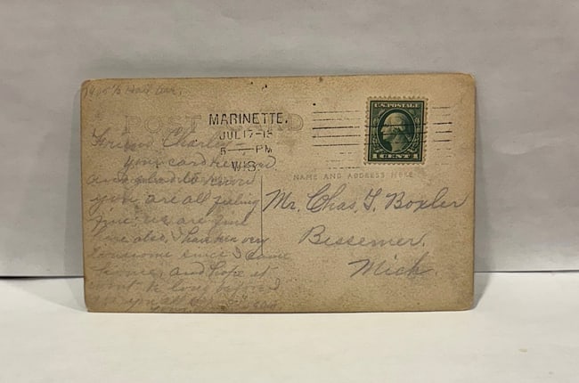 Share RPPC Real Photo Postcard Women Horse Drawn Parade Float 'Purity Cleanliness 1900 - 3