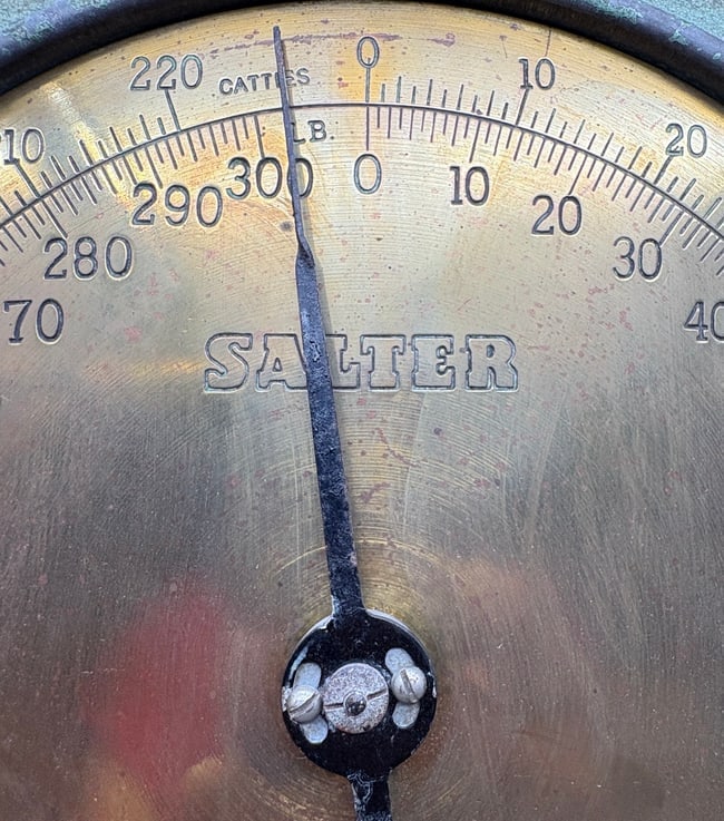 Vintage Salter Brass Face Hanging Scale 300lb England - 6