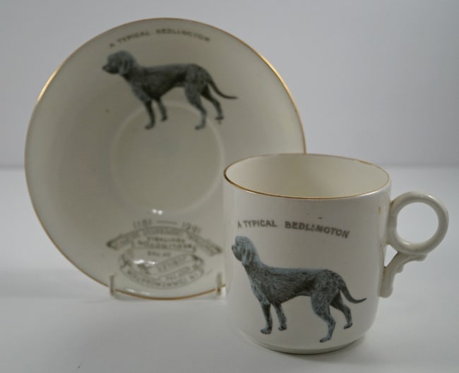 Bedlington Terrier Dog China Cup Saucer Dated 1911 - 8