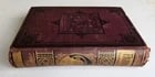 1885 FABIOLA or CHURCH of the CATACOMBS by Cardinal Wiseman illustrated ANTIQUE - 4