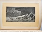 1885 FABIOLA or CHURCH of the CATACOMBS by Cardinal Wiseman illustrated ANTIQUE - 9