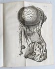 1752 MEDICAL TREATISE ILLUSTRATED ANATOMY by Francois PLANQUE antique V. 7 - 11