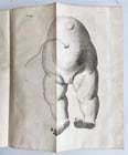 1752 MEDICAL TREATISE ILLUSTRATED ANATOMY by Francois PLANQUE antique V. 7 - 14