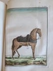 1757 MILITARY SCIENCE FULLY ILLUSTRATED 2 VOLUMES antique - 12