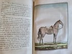 1757 MILITARY SCIENCE FULLY ILLUSTRATED 2 VOLUMES antique - 13