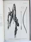 1894 REPORT of BOARD of REGENTS of SMITHSONIAN INSTITUTION antique ILLUSTRATED - 4