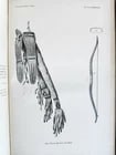 1894 REPORT of BOARD of REGENTS of SMITHSONIAN INSTITUTION antique ILLUSTRATED - 5