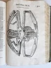 1605 ALDROVANDI TREATISE on MUSSELS SNAILS OCTOPUSES antique ILLUSTRATED FOLIO - 10