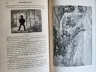 1880 TRAMP ABROAD by MARK TWAIN antique ILLUSTRATED 1st AMERICAN EDITION - 12