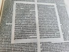 1495 INCUNABULA BIBLE 3 FOLIO VOLUMES COMPLETE antique ILLUSTRATED BIBLIA LATINA - 13