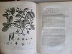 1786 SILVA: DISCOURSE OF FOREST TREES 2 VOLUMES ILLUSTRATED antique in ENGLISH - 13