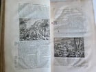1703 WORLDS HISTORY KING FRIEDRICH WILHELM I COAT OF ARMS antique ILLUSTRATED - 9