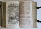 1770 BIBLE in GERMAN & LATIN ILLUSTRATED 2 FOLIO VOLUMES antique PIGSKIN BINDING - 5