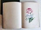 1855 ALBUM AMICORUM - MANUSCRIPT GERMAN BOOK antique ILLUSTRATED Lubeck - 3