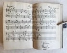 1855 ALBUM AMICORUM - MANUSCRIPT POETRY GERMAN BOOK antique ILLUSTRATED Landau - 14