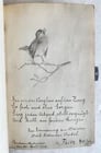 1855 ALBUM AMICORUM - MANUSCRIPT POETRY GERMAN BOOK antique ILLUSTRATED Landau - 16