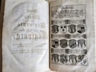 1725 HISTORY of Holy Roman Empire' CITY of AUGSBURG REGIMENT antique ILLUSTRATED - 12