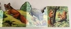 1950s antique ILLUSTRATED CHILDREN BOOK tiere der heimat ANIMALS of the HOMELAND - 7