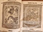 1661-1664 MARTIN LUTHER WORKS 7 FOLIO VOLS antique VELLUM in GERMAN ILLUSTRATED - 9