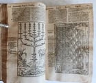 1573 BIBLE in LATIN antique FULLY ILLUSTRATED Old & New Testament - 11