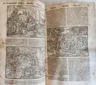 1573 BIBLE in LATIN antique FULLY ILLUSTRATED Old & New Testament - 15