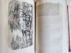 1859 EXPLORATIONS L'AFRIQUE et AUSTRALE LIVINGSTONE VOYAGES antique ILLUSTRATED - 15