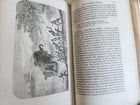 1859 EXPLORATIONS L'AFRIQUE et AUSTRALE LIVINGSTONE VOYAGES antique ILLUSTRATED - 6