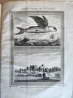1749 HISTORY of VOYAGES by Prevost antique ILLUSTRATED JORNEY to CHINA & TIBET - 14