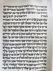 TORAH SCROLL FRAGMENT MANUSCRIPT on VELLUM antique BIBLE GENESIS 16:15 - 21:3 - 8