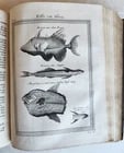 1748 HISTORY of TRAVELS Guinea Benin & Sierra Leone antique ILLUSTRATED - 16